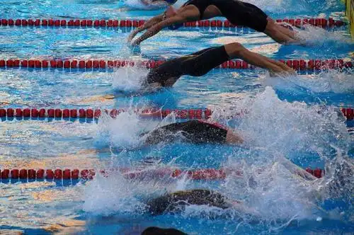 竞技游泳的几种出发方式你都了解过么