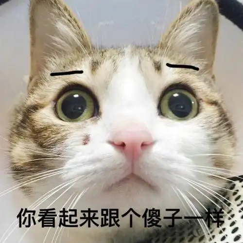 跟个傻子一样你怎么呆呆的可爱呆萌gif动图_动态图_表情包下载_soogif