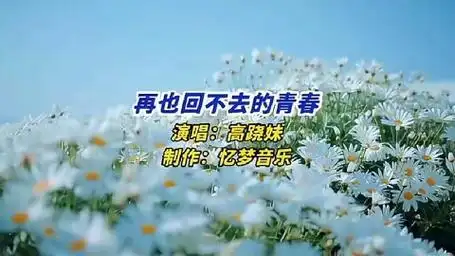 网络伤感歌曲 高跷妹《再也回不去的青春》太好听了