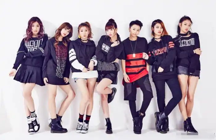 蜜蜂少女队成员名单她们都和蜜蜂少女队有关系