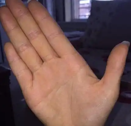 非常长寿的手相