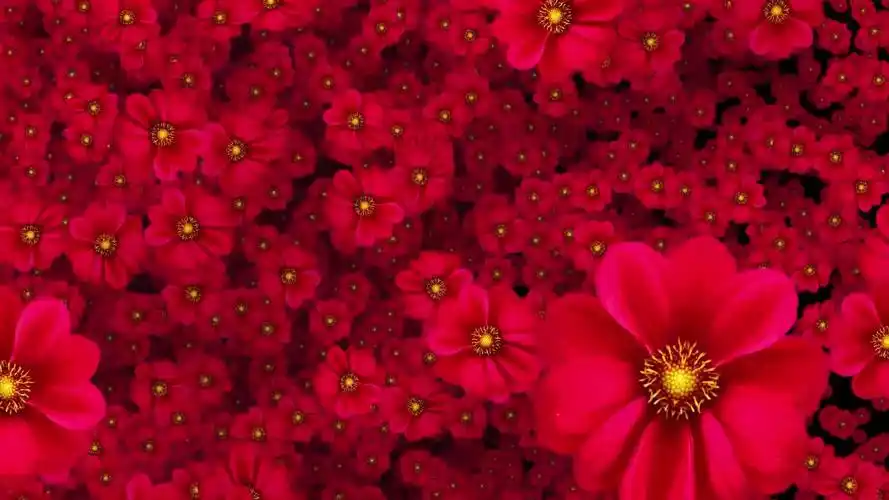 唯美花朵飞舞花满屏抒情爱情背景舞台背景,婚庆节日舞台背景下载,高清