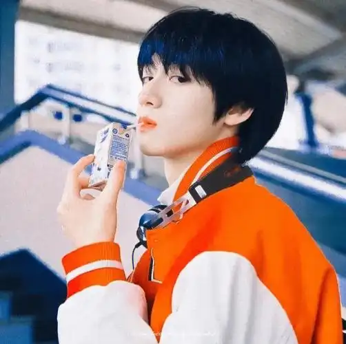 朱志鑫神仙头像