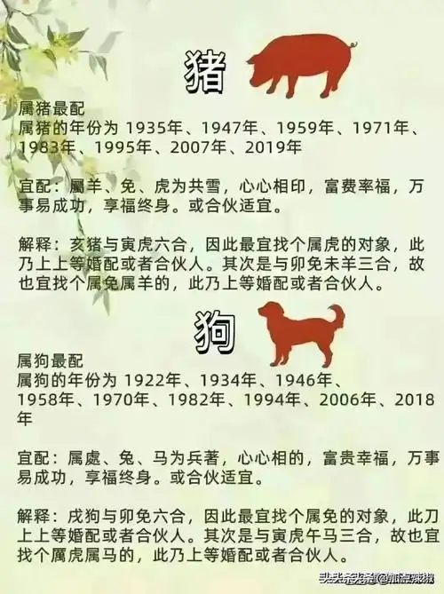 终于有人把"十二生肖夫妻配对表"整理清楚了,收藏起来看看吧.