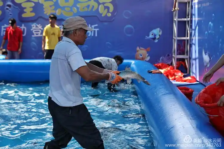 捕鱼达人秀,"鱼"乐无穷!