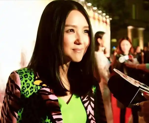 分手十一年,释小龙富甲一方何洁困顿