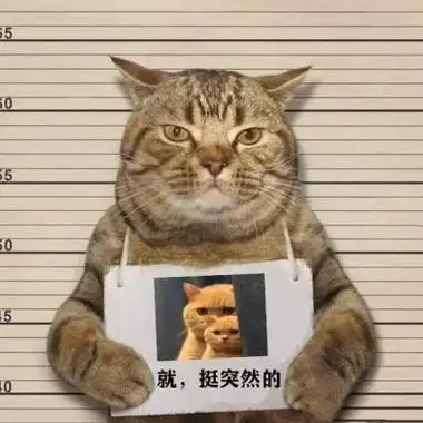 猫举牌子入狱照片头像高清恶搞的猫举牌子拍囚犯照片头像