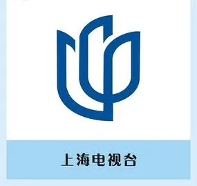 蓝色球形圆形电视台logo