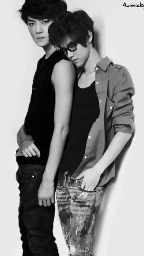 勋鹿 吴世勋 鹿晗 驯鹿 饭制