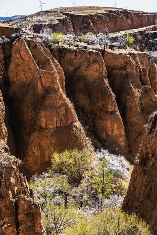 黄土高原之麻黄梁风景……田家园