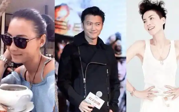 谢霆锋张柏芝三娃之谜,王菲道实情,为何不为谢霆锋生孩子