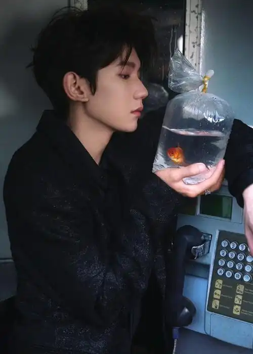 王源印花西装##王源和金鱼合照