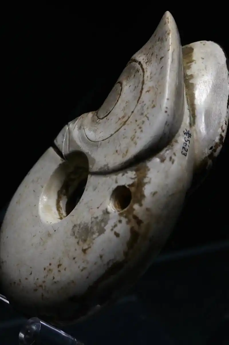 馆藏国宝,红山玉猪龙细图分享.#器物之美 #古玉#鉴定 #收 - 抖音