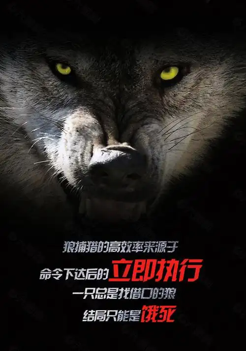 狼性团队宣传海报14