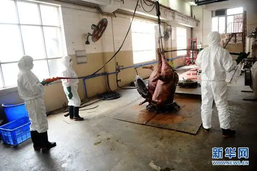 吉林办假四级证