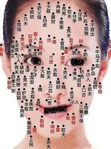 手掌各部位长痣图解