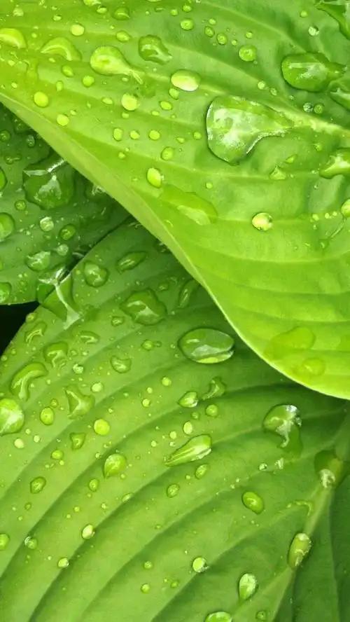 640_1137竖版 竖屏