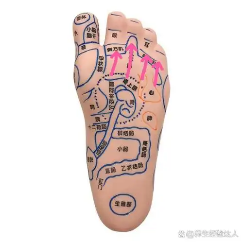 小儿咳嗽痰多,脚底反射区一推解忧