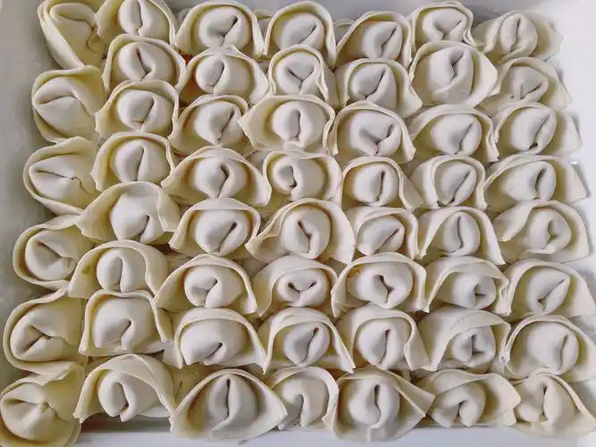 上海大馄饨美味馄饨大馄饨手工馄饨手工饺子