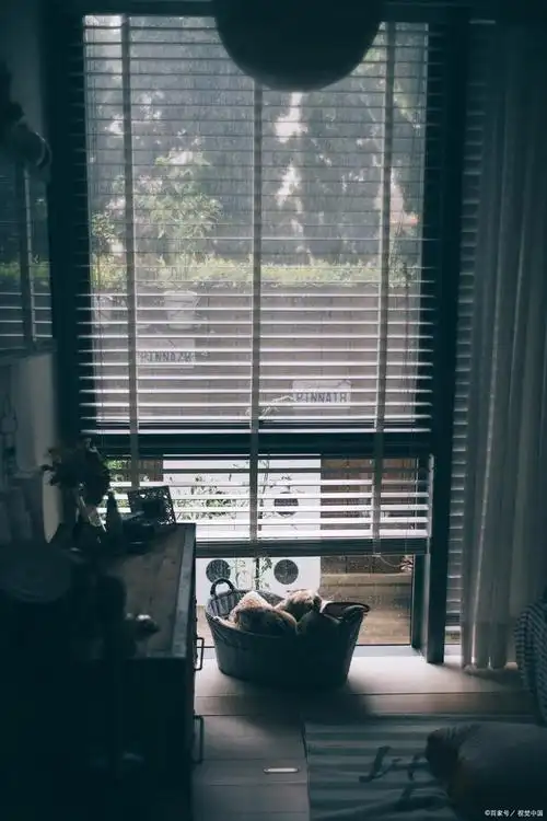 清晨,阳光透过纱窗洒进房间,暖洋洋的