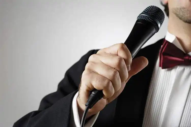 西方人,头,手,一个人,歌唱家,站,横图,室内,特写,白天,正面,西装,欧洲