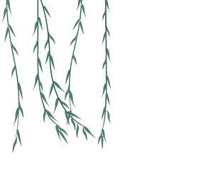 透明gif_百度图片搜索