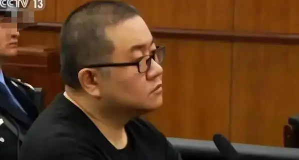 回顾:2020年云南孙小果被押到火葬场,行刑过程中,表情镇静