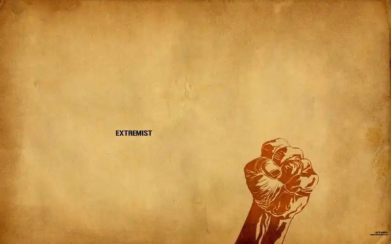 艺术设计壁纸拳头