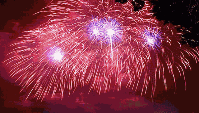 640_366gif 动态图 动图