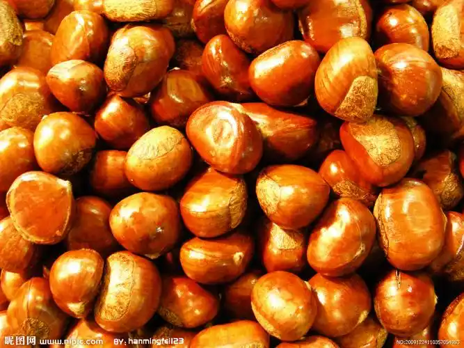 糖炒栗子图片