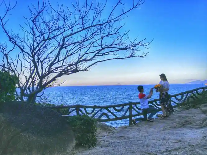 最难忘的回忆我是在海底被求婚的0473