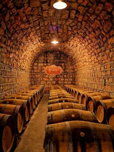 红酒酒窖