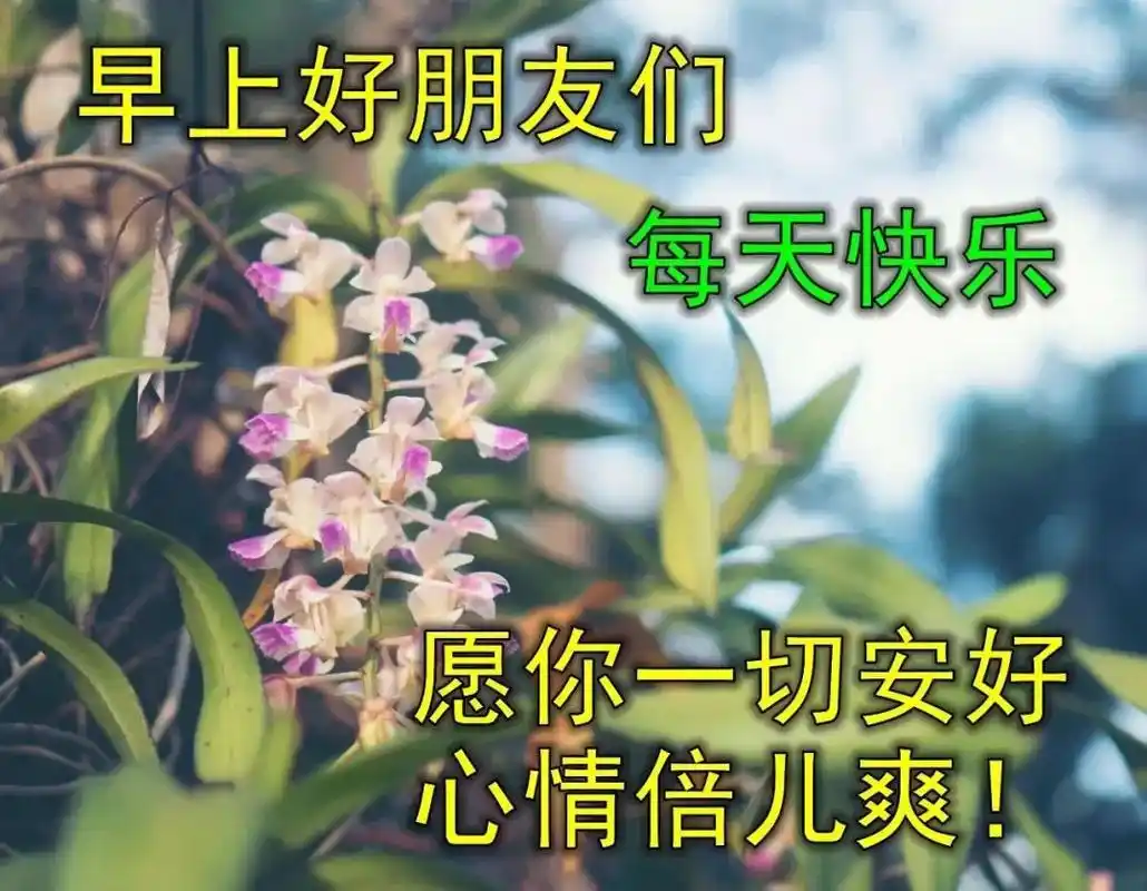 初夏最新早晨好问候表情图片 最美早安问候图片带字温馨句子