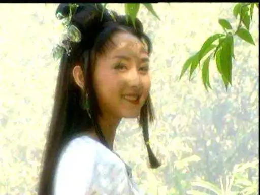 1994 拍摄的《聊斋喜剧系列·一笑三百年》中,扮演婴宁的是王安秋