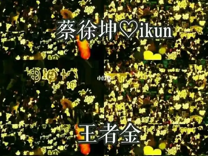 百分九的应援海