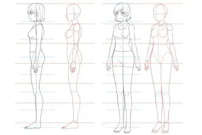 立绘人物站姿怎么画简单讲解人体站姿画法教程