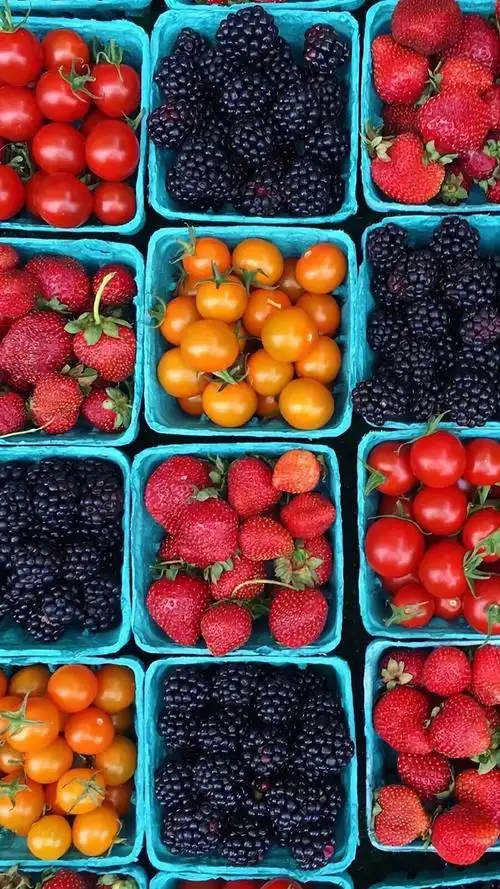 水果- 堆糖,美图壁纸兴趣社区