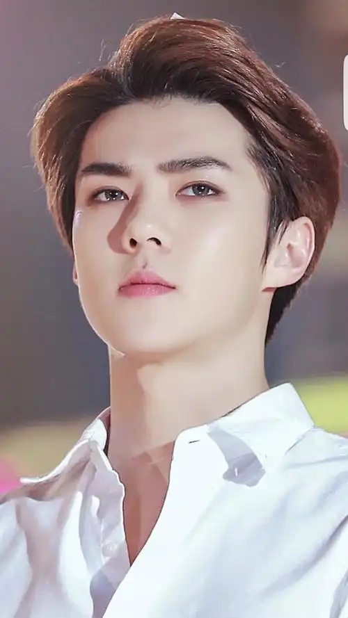 exo吴世勋 小奶包