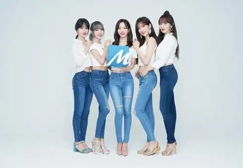 她参考韩国,日本的偶像培养计划,又提出了"粉丝经济"的概念,投资大佬