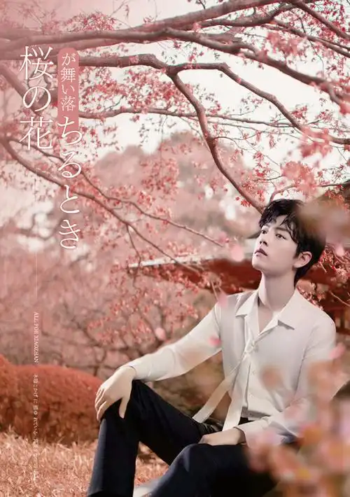 肖战红 樱花 - 堆糖,美图壁纸兴趣社区