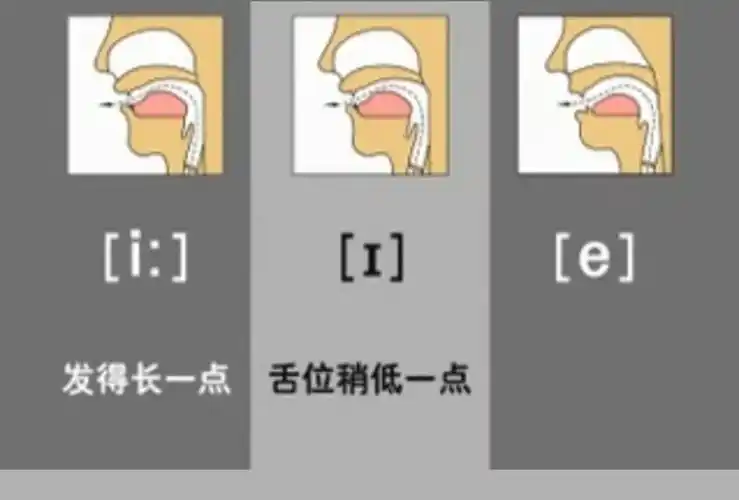 48个英语国际音标学习详解每个音标单独讲解学习