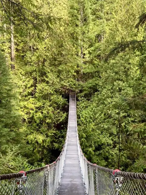 温哥华环境好不用说了 有森林的公园到处都是 超喜欢下雨人少的时候来