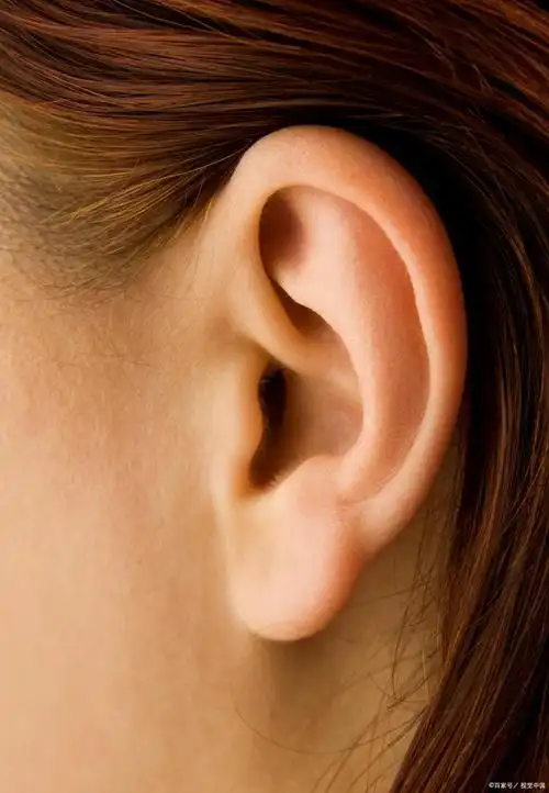 招风耳好不好?打造完美耳廓的方法与选择