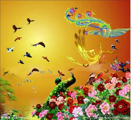 2019-11-1115:58:26     生活的根本 要好好地活着 百鸟朝凤