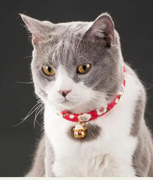 日本和风猫咪项圈铃铛狗狗刻字防虱子颈圈脖圈除跳蚤项链宠物用品