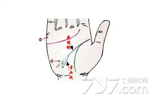 手相上什么是太阴丘月丘月丘上的线