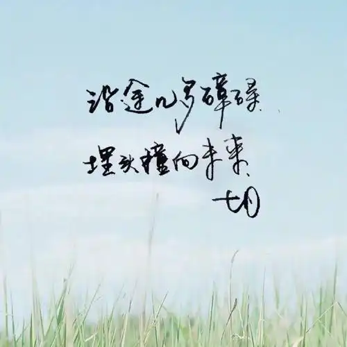 优美语句的文字图片:愿你所有的情深意重,都能换来岁月温柔