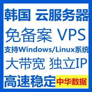 韩国vps云服务器独立ip国外稳虚拟主机海外云主机cn2建站开店租用