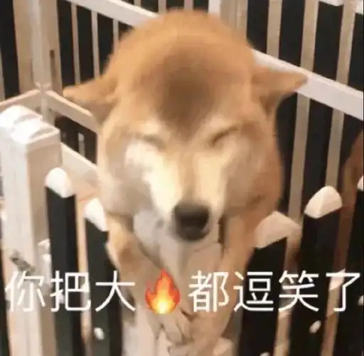 你把大伙都逗笑了 - 一组汪星人doge表情包_狗子表情表情