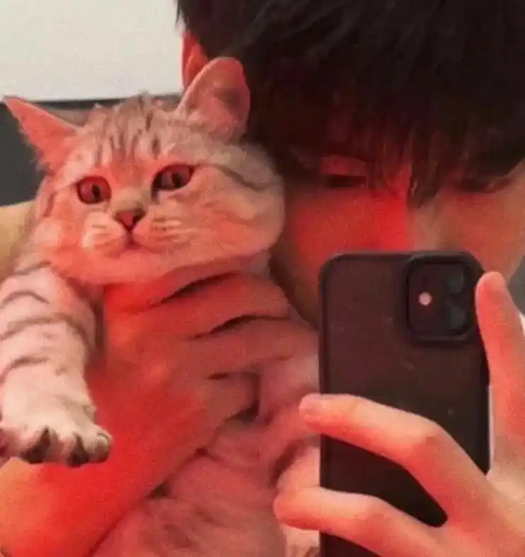 抱猫头像 #男生头像 #男生抱猫头像  - 抖音